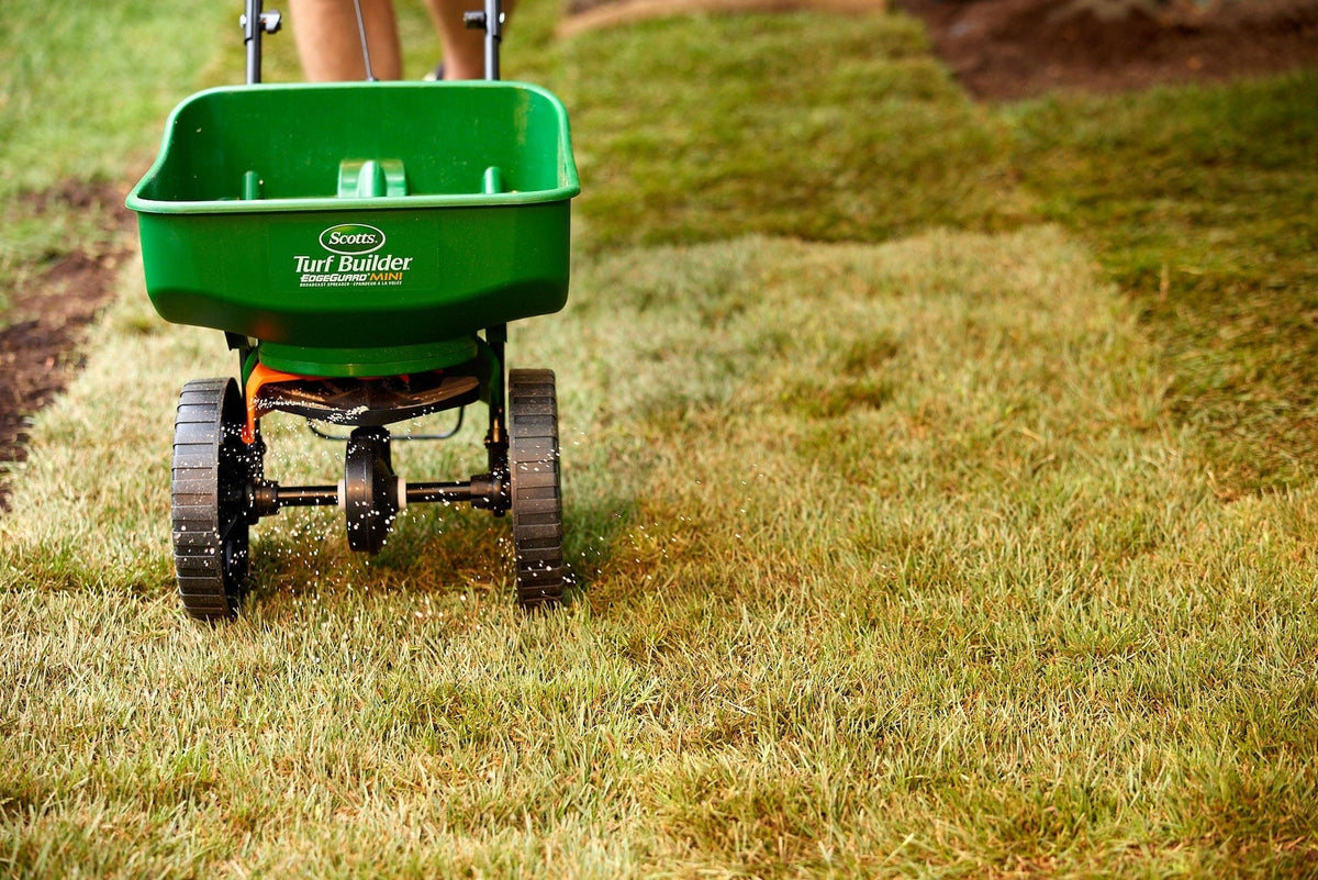 Turf Builder Starter Lawn Fertilizer, 24-25-4 For New Grass, 320-m2 W0I5 - product image 6