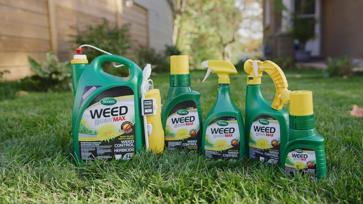 Weed B Gon MAX Ready-to-Use Weed Control/Killer, Herbicide for Lawns, 1-L L3T7 - product image 2