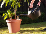 Easypour 2-in-1 Spout Watering Can with Dual Handle, 9.8-L, (2.6 US gal) Black V2F4 - product image 5