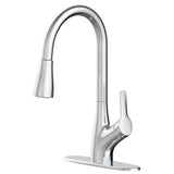 Clarivo 2-in-1 Filtration 1-Handle Pull Down Kitchen Faucet, Various Finishes W8C2 - product image 1