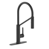Tana 1-Handle Pull-Down Kitchen Faucet P7K7 - product image 1