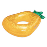 Pineapple Pool Tube, Ages 9+ B1O6 - product image 1
