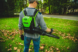 Pro 60 V 160 MPH - 540 CFM Lithium-ion Backpack Leaf Blower, Tool Only X6Q3 - product image 8