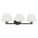 Celestial Valley 3 Light Vanity Light U0M9 - product image 1