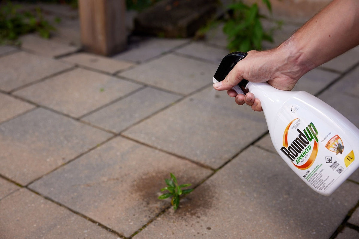 Advanced Ready-To-Use Grass & Weed Control Spray, 1-L T5J8 - product image 4