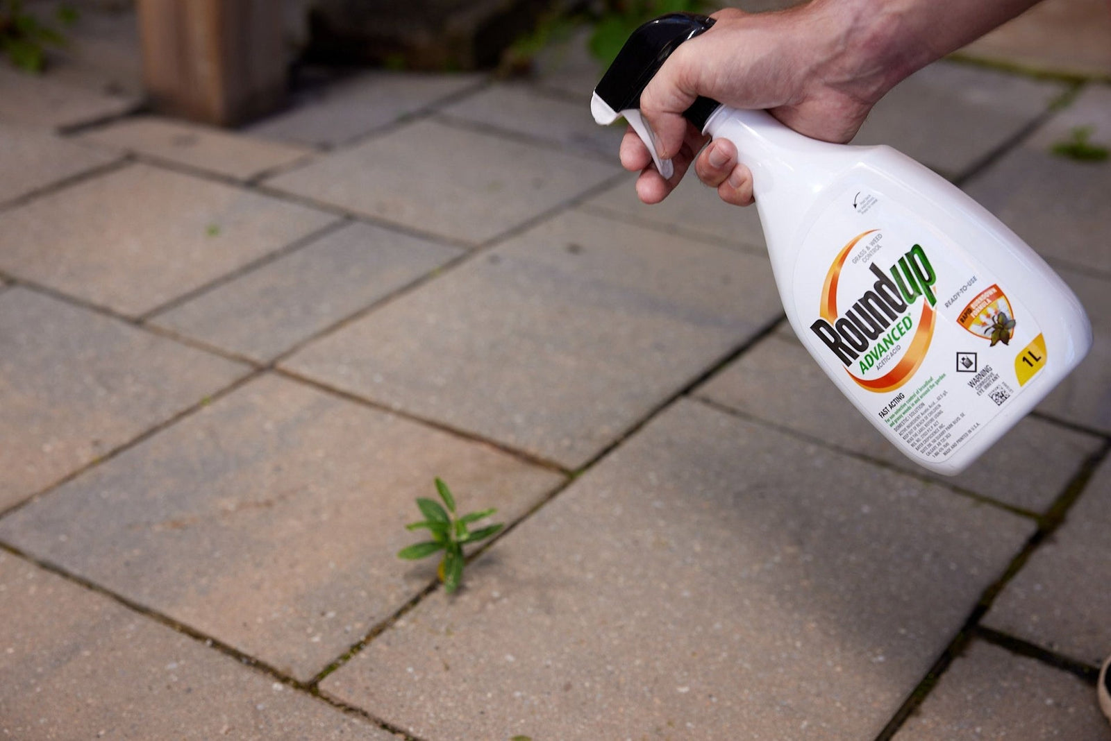 Advanced Ready-To-Use Grass & Weed Control Spray, 1-L T5J8 - product image 5