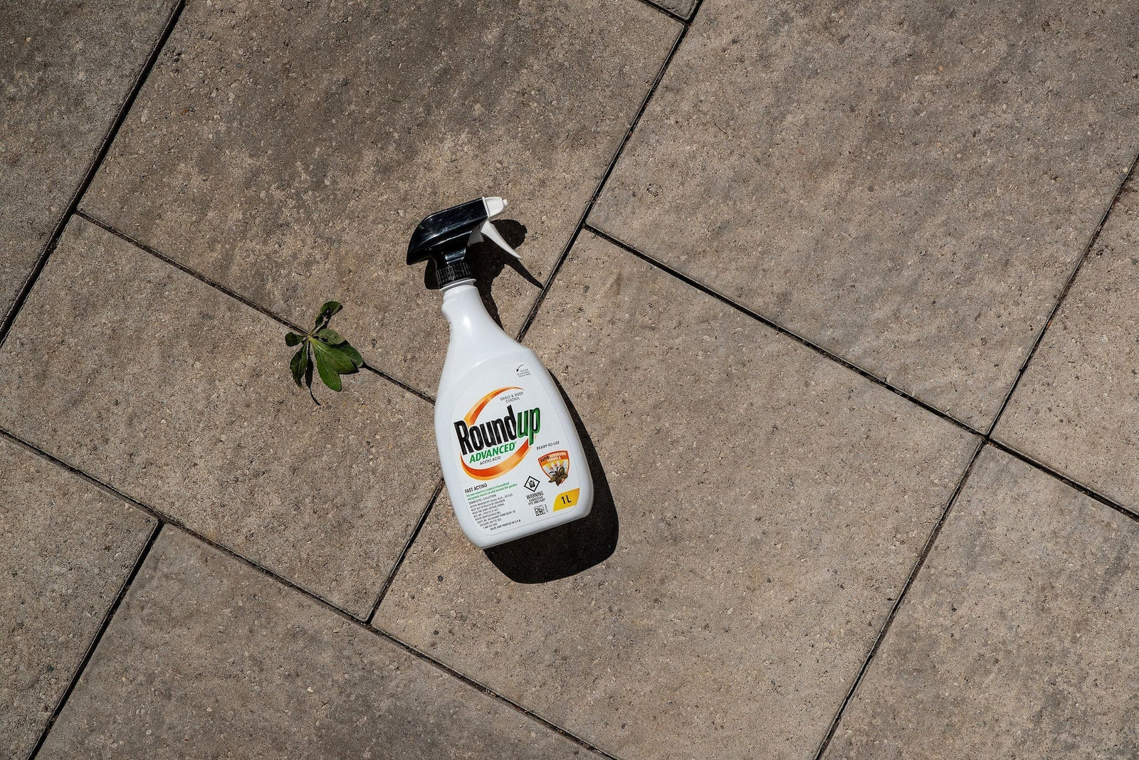 Advanced Ready-To-Use Grass & Weed Control Spray, 1-L T5J8 - product image 6