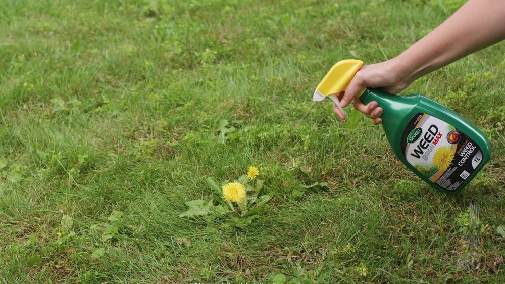 Weed B Gon MAX Ready-to-Use Weed Control/Killer, Herbicide for Lawns, 1-L Q5J0 - product image 5